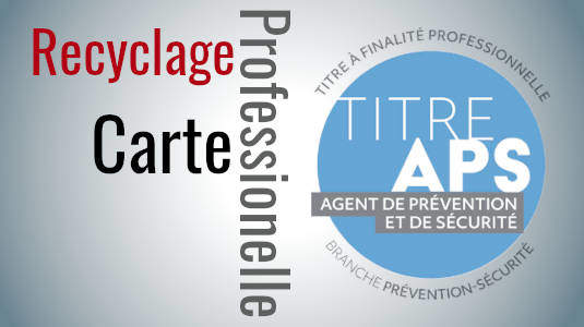 formation recyclage carte professionnelle